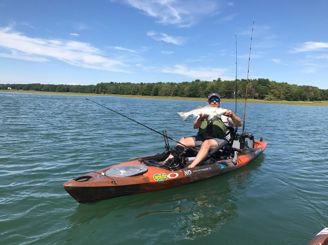 Kayak Fish New England-肯纳邦克港必去景点