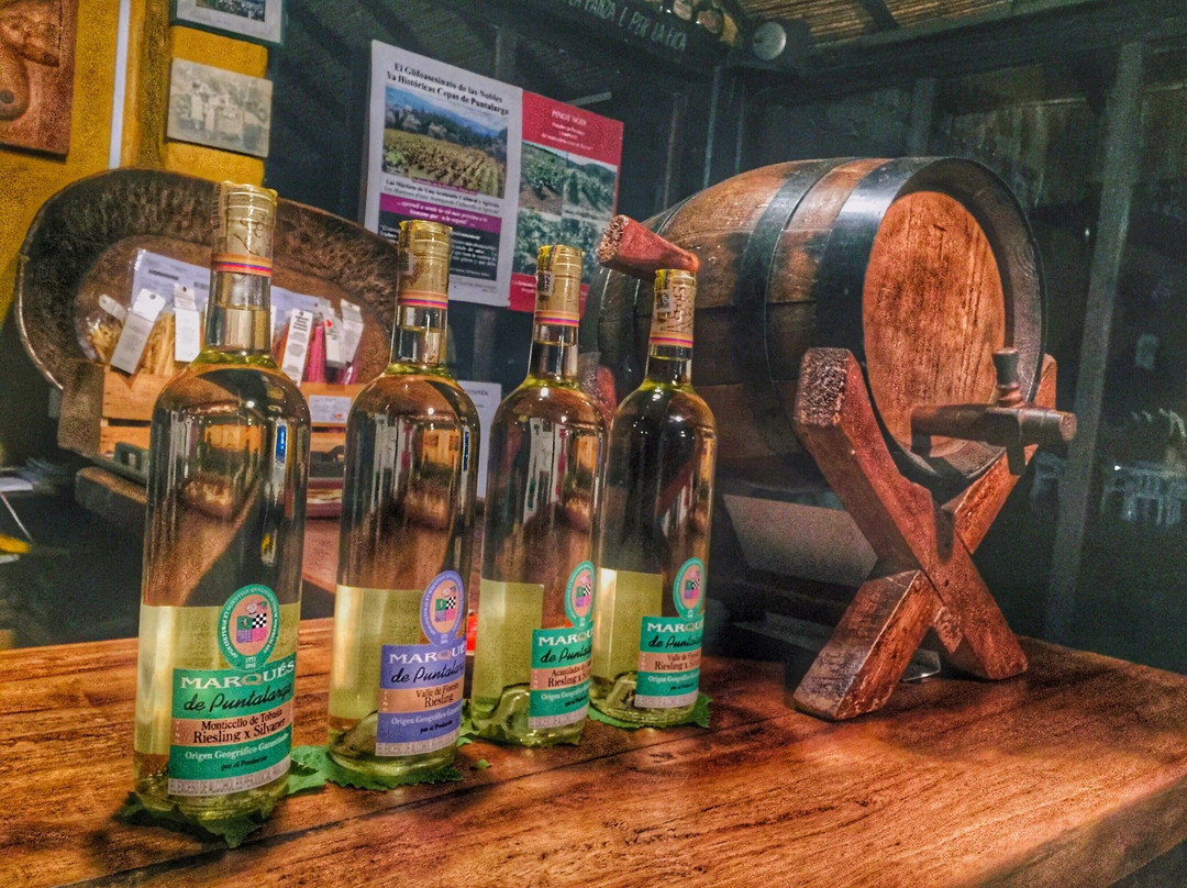 Marqués De Puntalarga-Nobsa必去景点