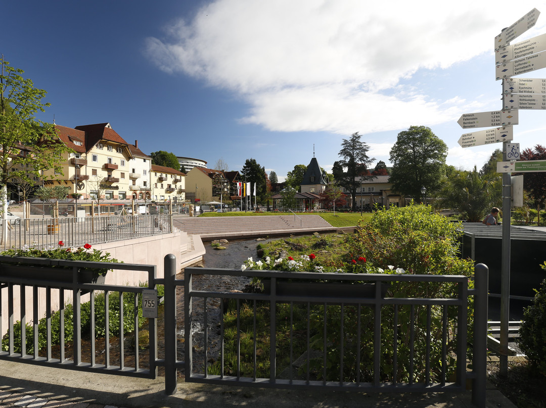 Nashira Kurpark Hotel主图