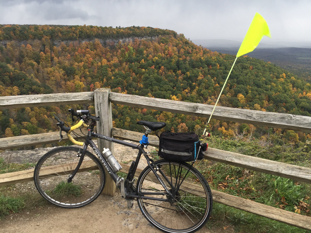 The Red Cottage主图