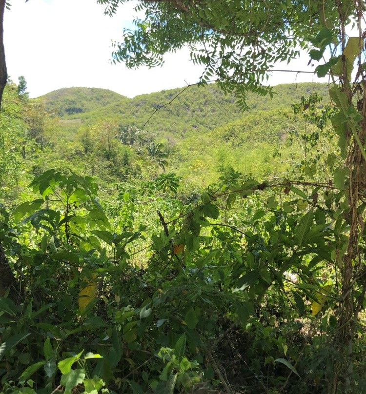 Ibabaw Mountain Resort主图