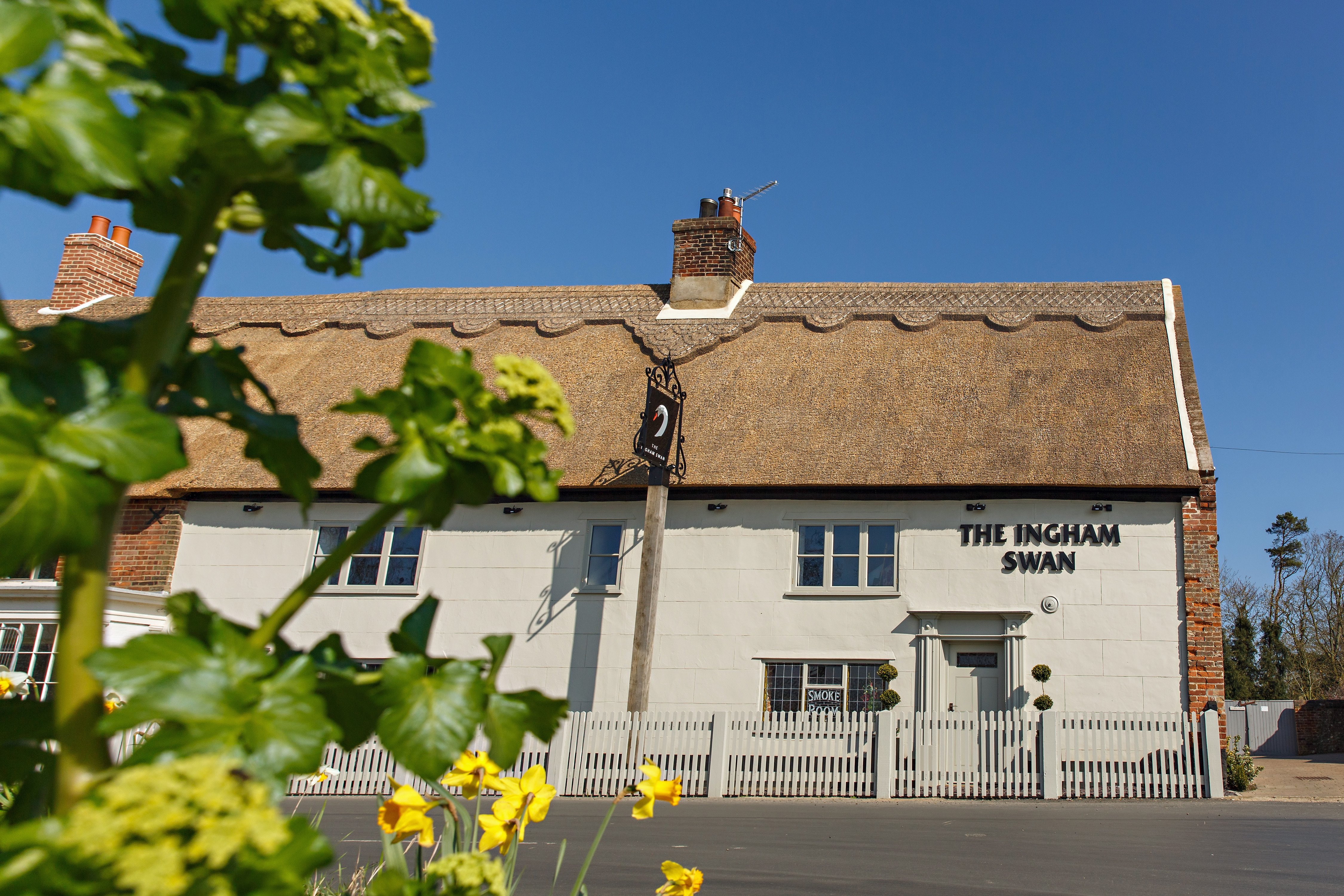 The Ingham Swan-官方
