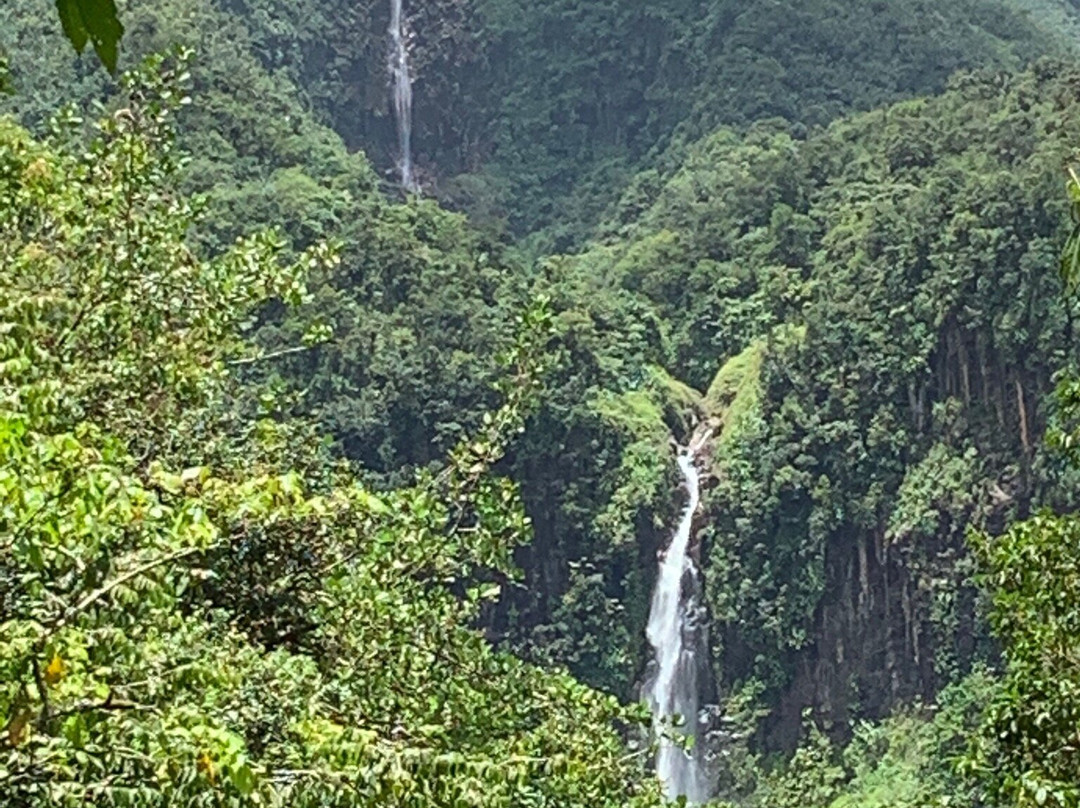 Carbet Falls (Les Chutes du Carbet)景点图片