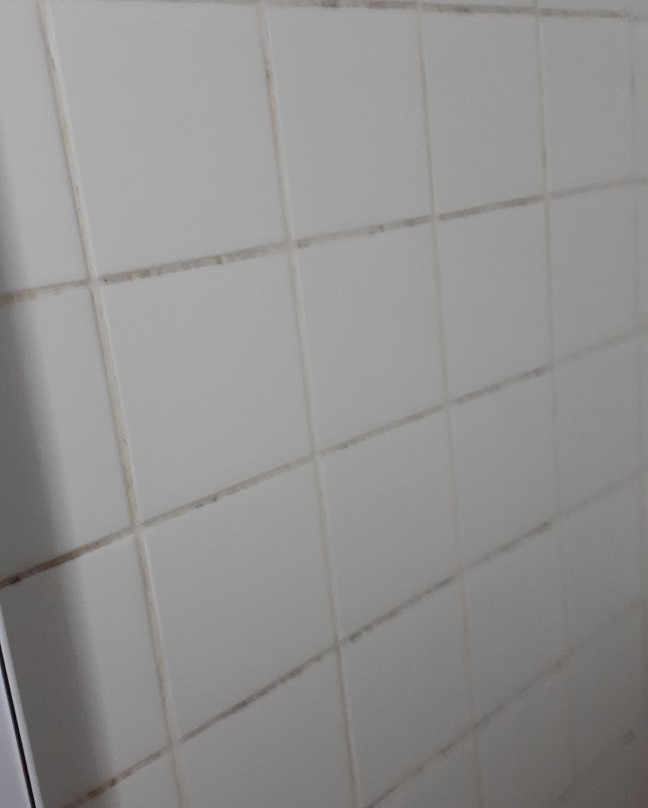 River Lodge Vredendal主图