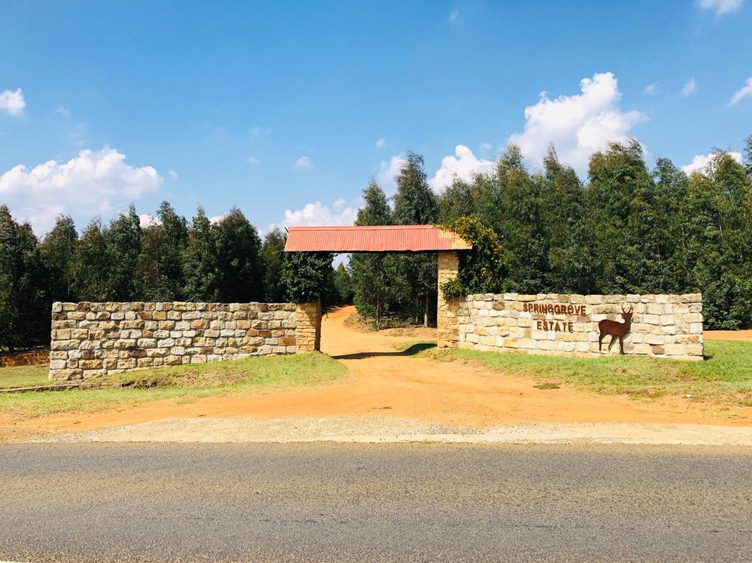 Springgrove Estate主图