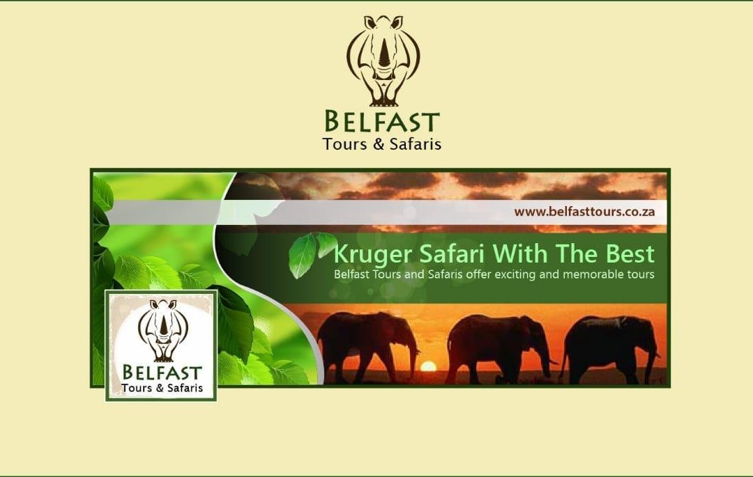 Belfast tours and safaris-雾观必去景点