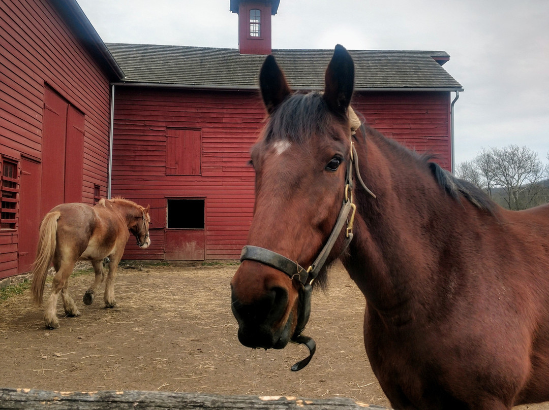 Howell Living History Farm-Lambertville必去景点
