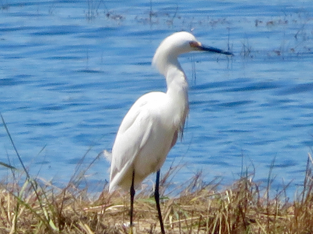 Oyster Cove B&B On Wellfleet Harbor主图