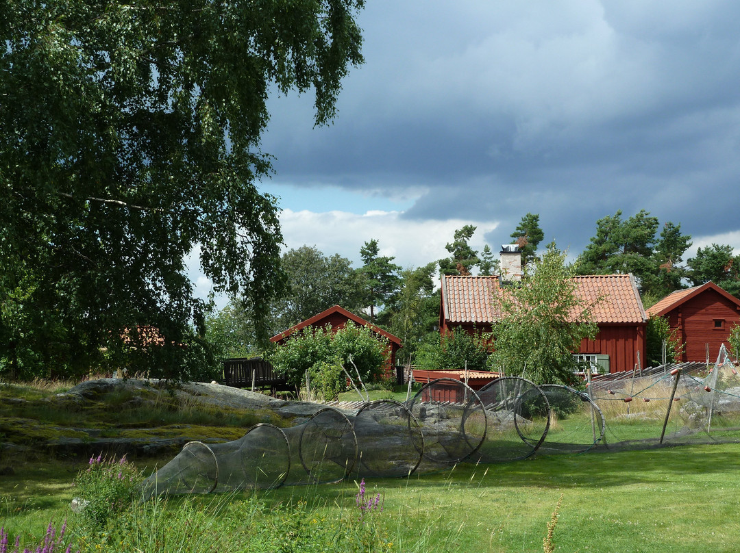 Naturum Västervik景点图片
