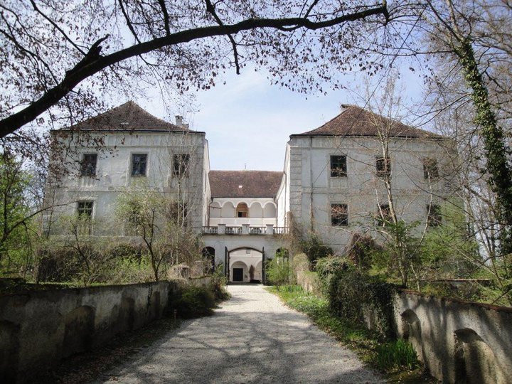 Schloss Katzenberg景点图片