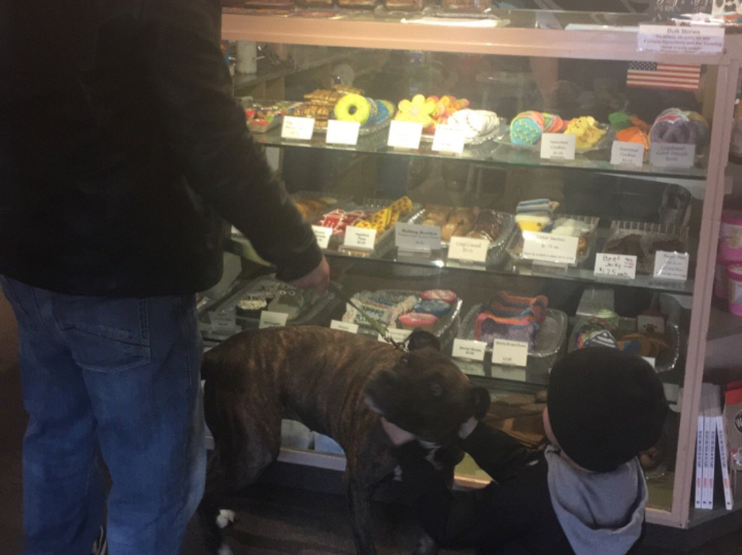 Decadent Dogs-南黑文必去景点