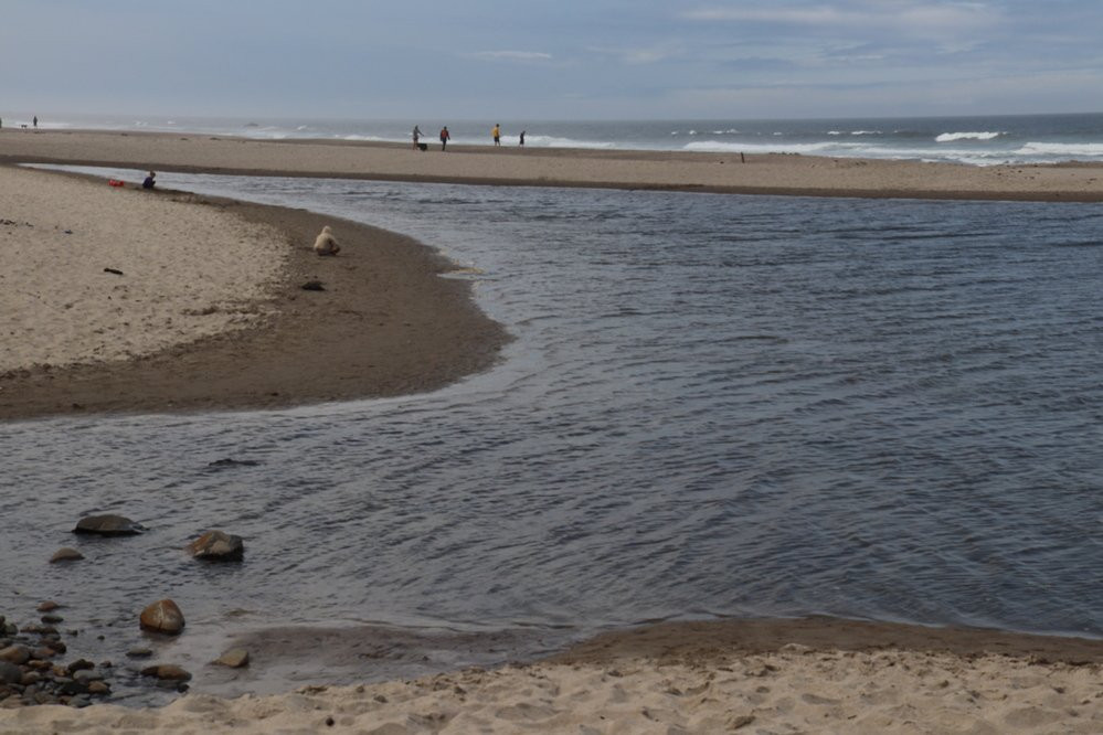 Nelscott Beach-林肯城必去景点