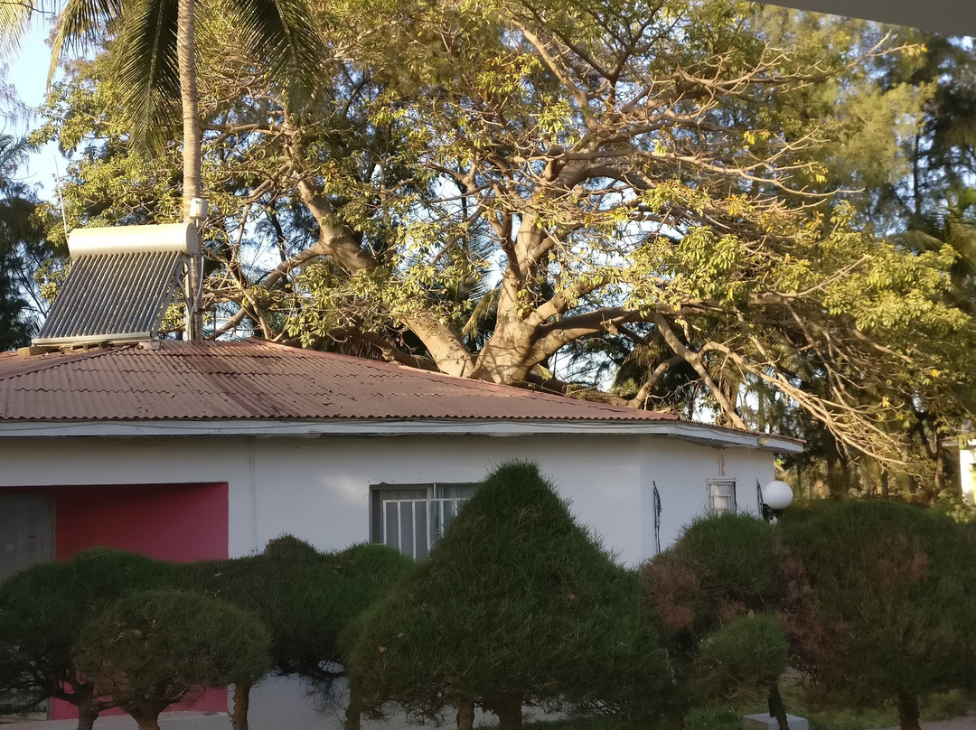 Palma Rima Hotel主图