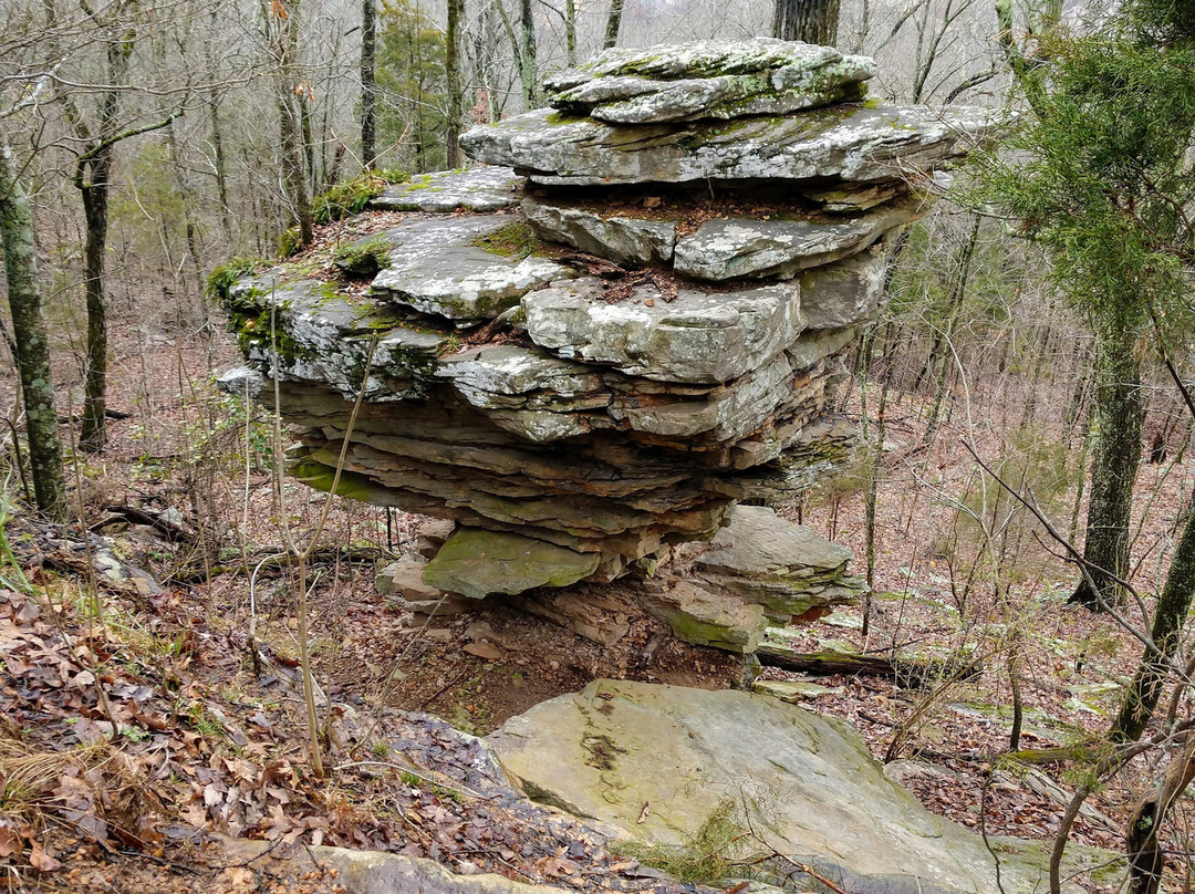 Land Trust of North Alabama-亨茨维尔必去景点