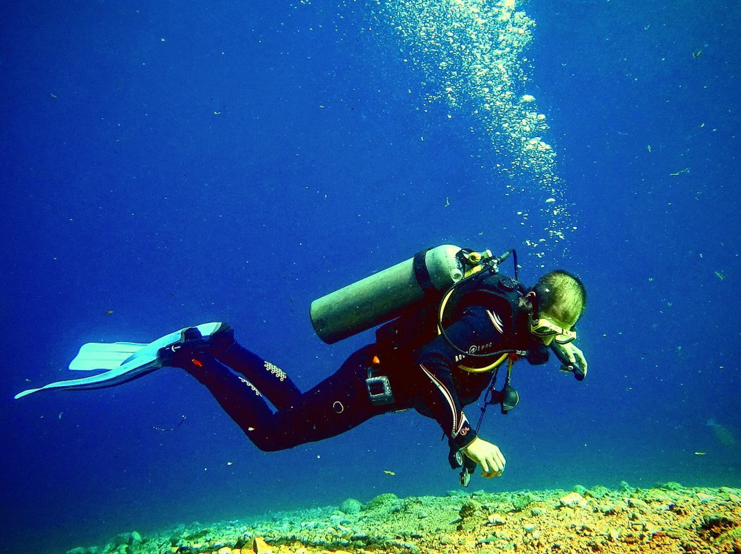 AQUA DIVERS-达哈卜必去景点