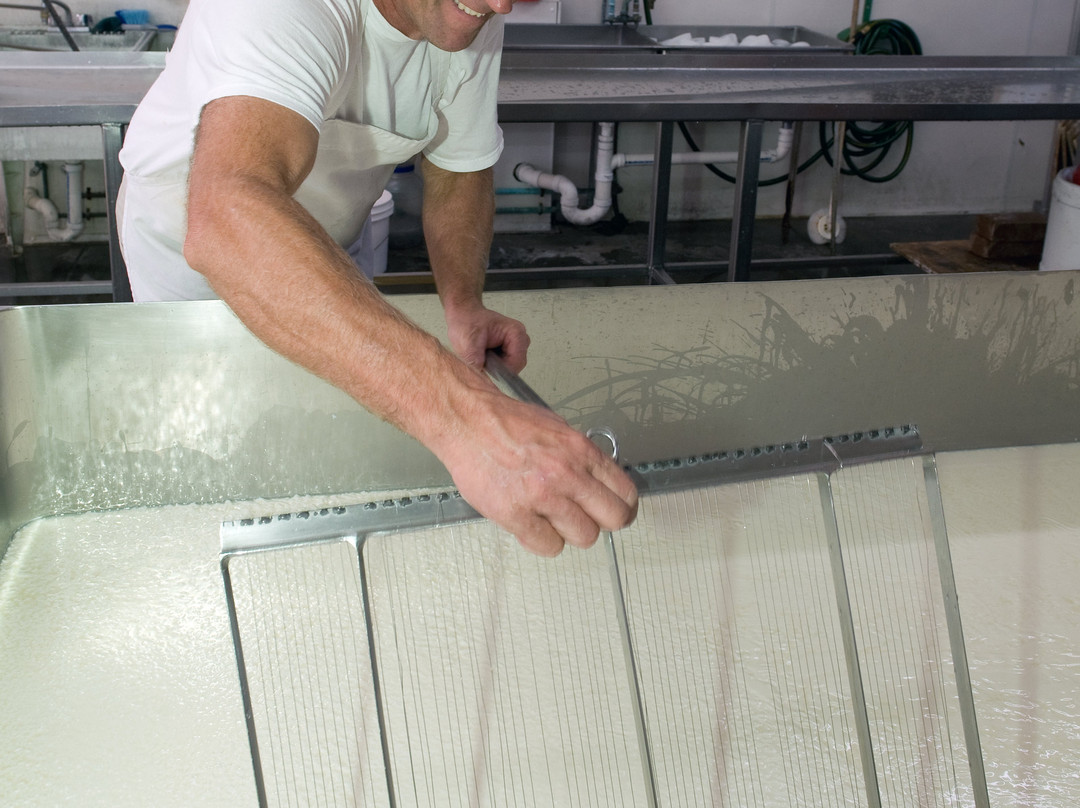 Kenny's Farmhouse Cheese-Austin必去景点