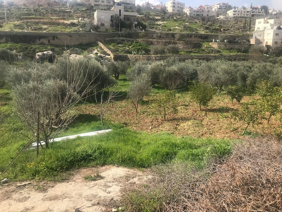 Zuluf Souvenir Store & Factory-Beit Sahour必去景点