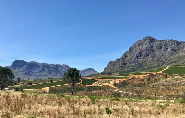 Cape Winelands Riding