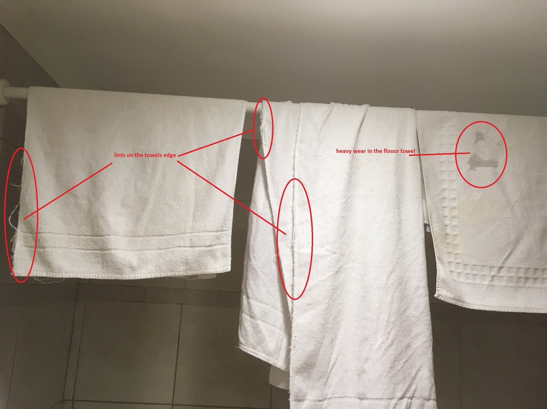 Diego de Almagro Valdivia Hotel主图