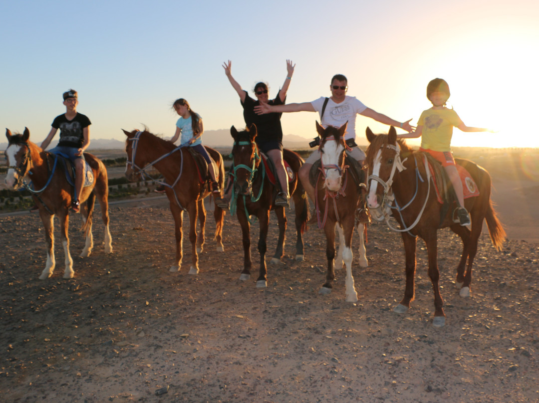 Hurghada Equestrian景点图片