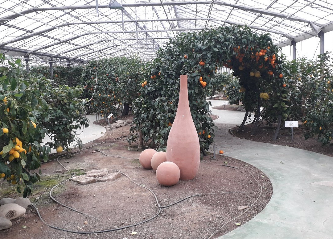 Hesperidarium - Il Giardino degli Agrumi景点图片