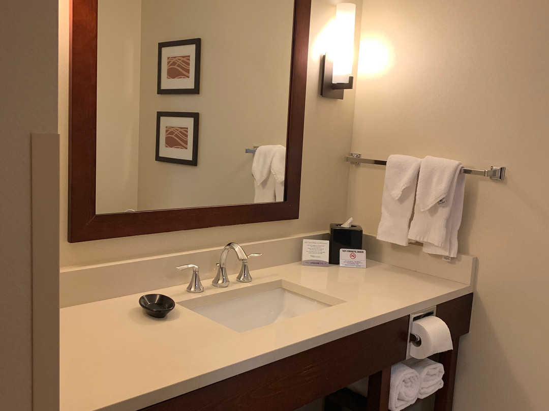 Comfort Inn & Suites Edmonton International Airport主图