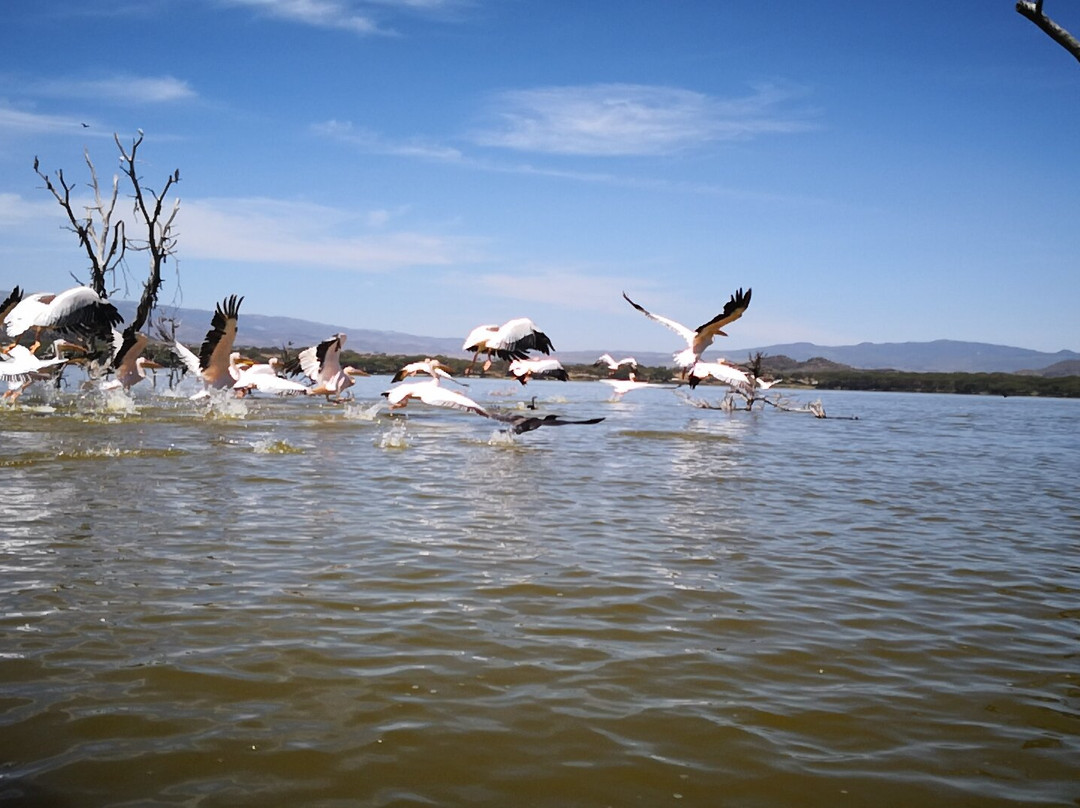 Lake Oloidien-奈瓦夏必去景点