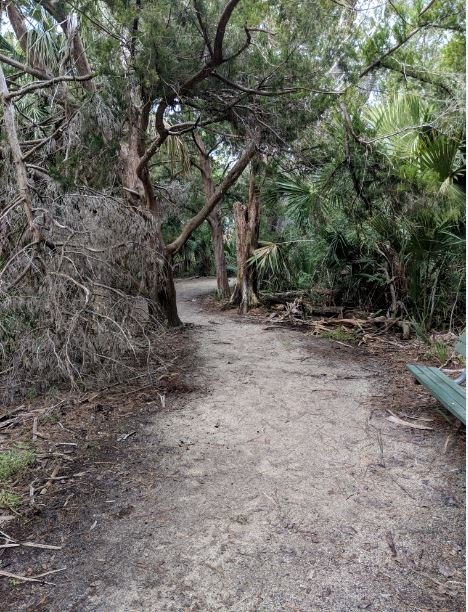Betty Steflik Memorial Preserve-Flagler Beach必去景点