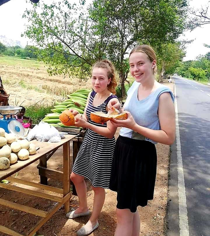 Cay Ceylon Tours-埃勒必去景点