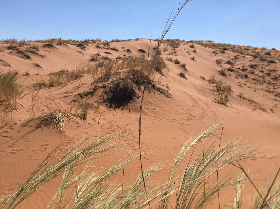 Elim Dunes-Namib-Naukluft Park必去景点