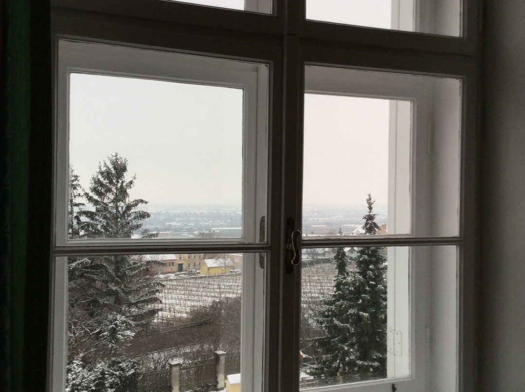 Schloss Gumpoldskirchen主图