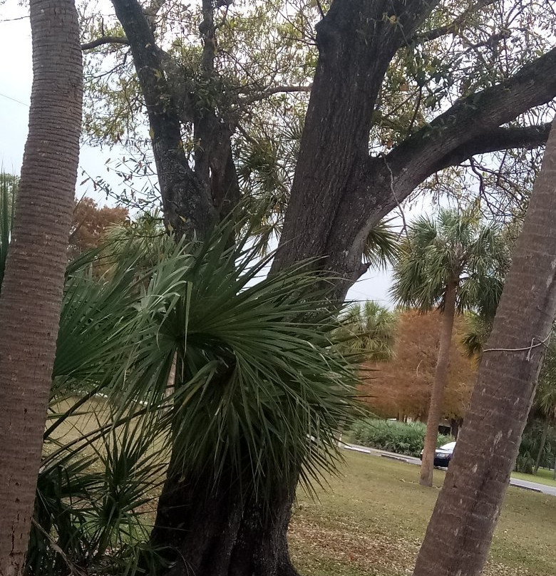 Easterlin Park-Oakland Park必去景点