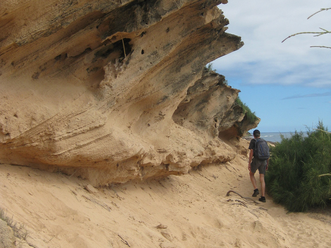 Makawehi Lithified Cliffs景点图片