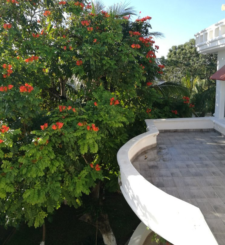 吉安大厦住宿加早餐酒店主图