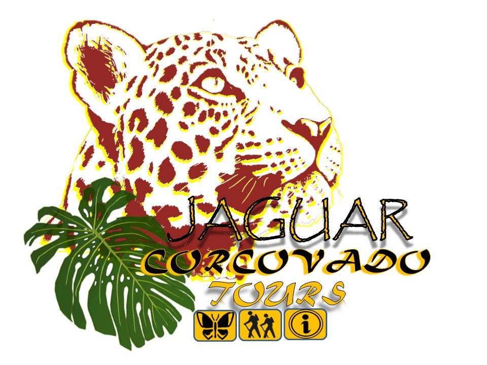 Jaguar Corcovado Tours景点图片
