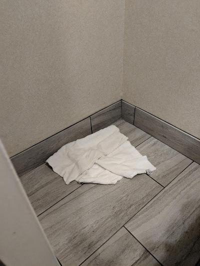 贝斯特韦斯特普勒斯商业街廊旅馆&套房酒店主图