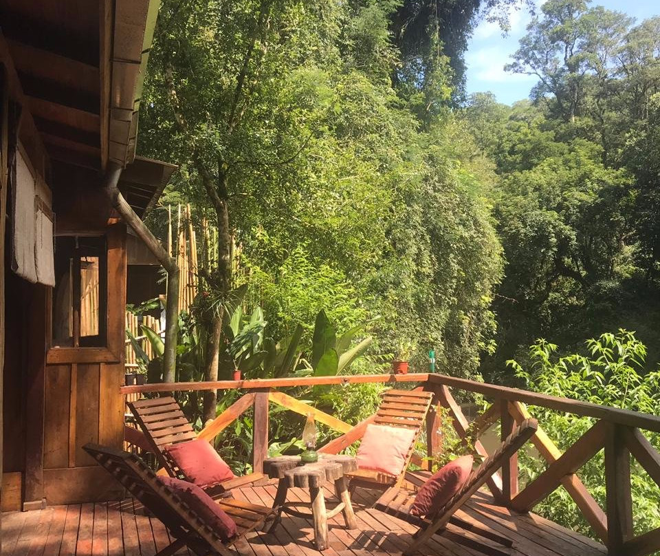 Margay - Reserva Natural & Lodge de Selva主图