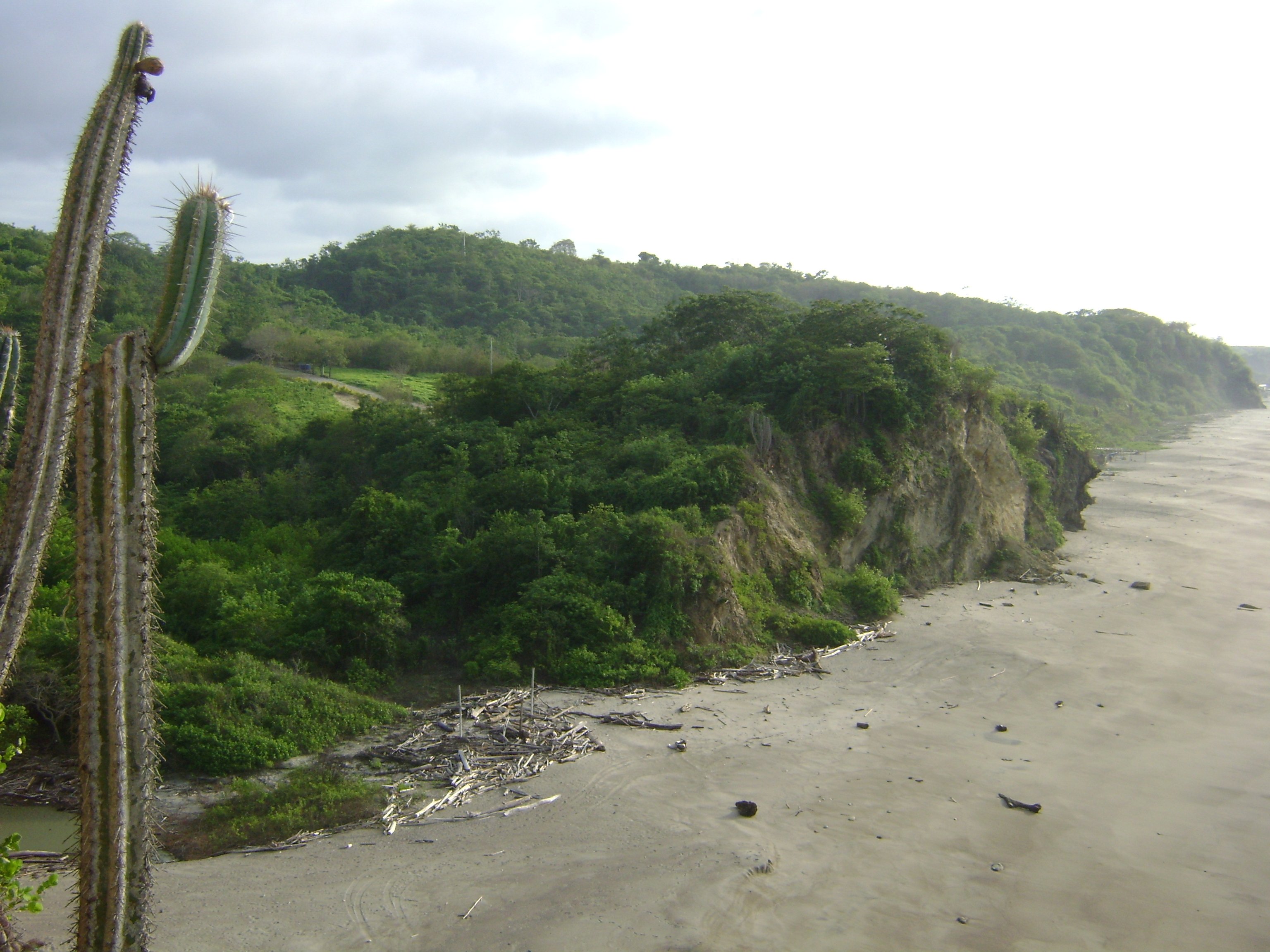 Punta Prieta Guest House-泳池