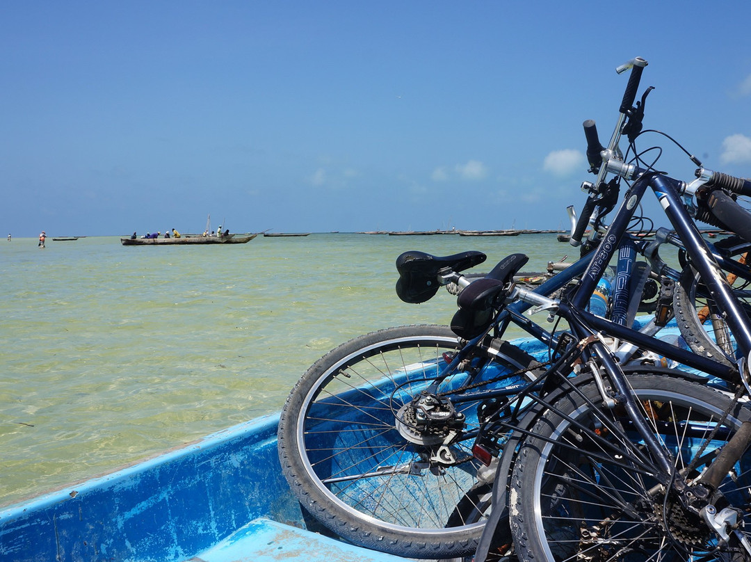 Bike Zanzibar景点图片