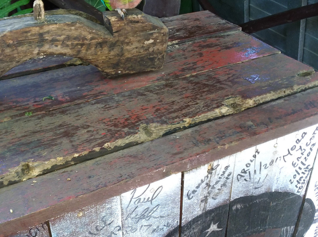 Villa Don Koki主图