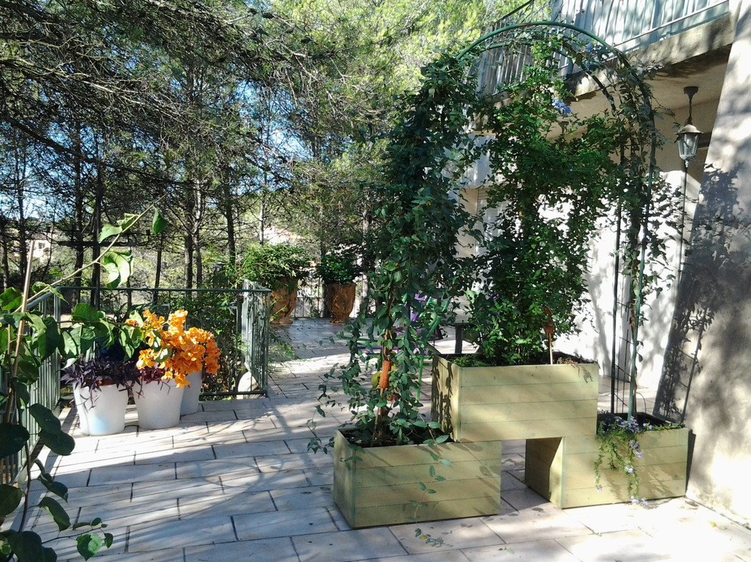 Le Clos Des Pins主图