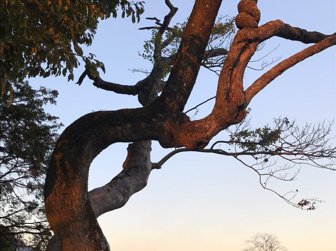 Remians of Kunikyu Palace-木津川市必去景点