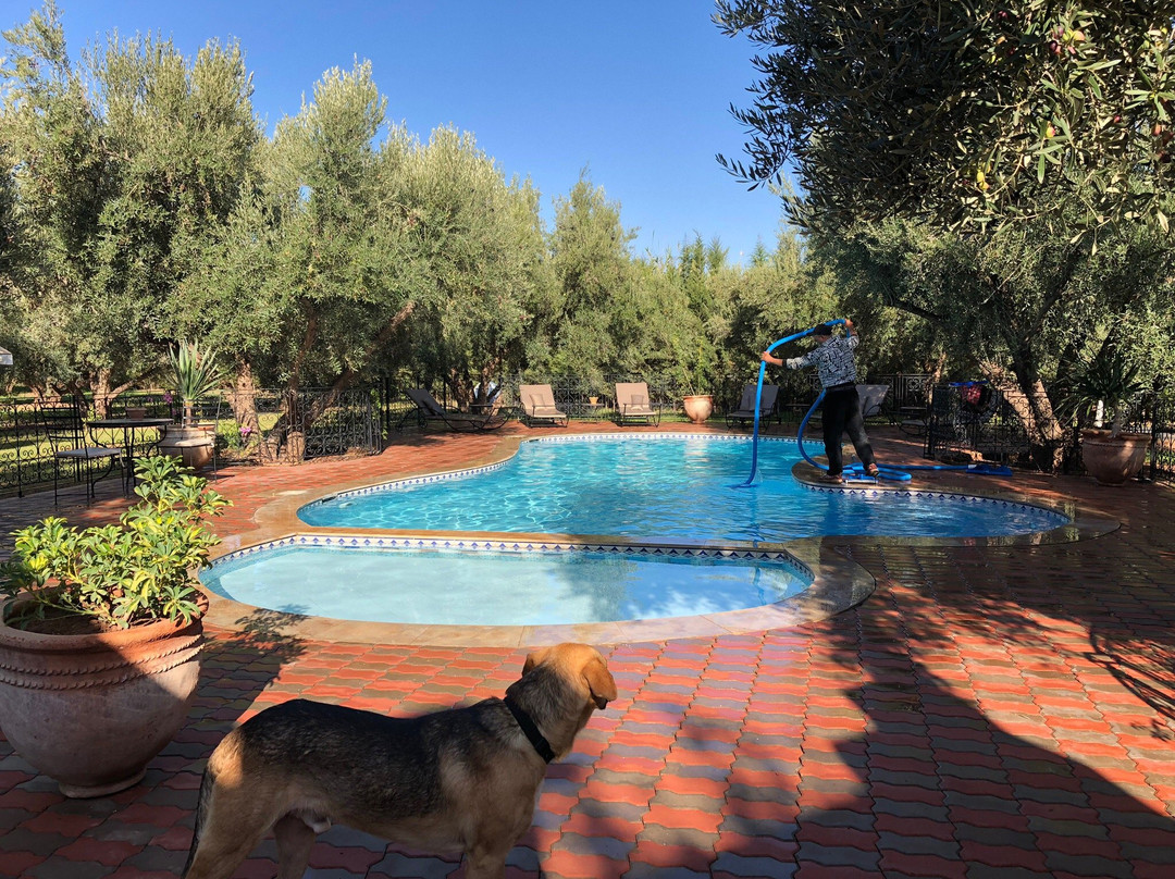 Ferme Sidi Safou主图