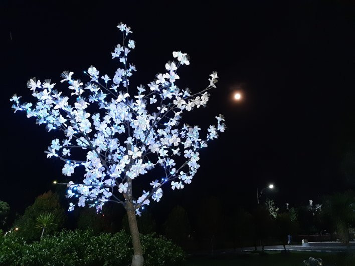 Lumajang Square-Lumajang必去景点