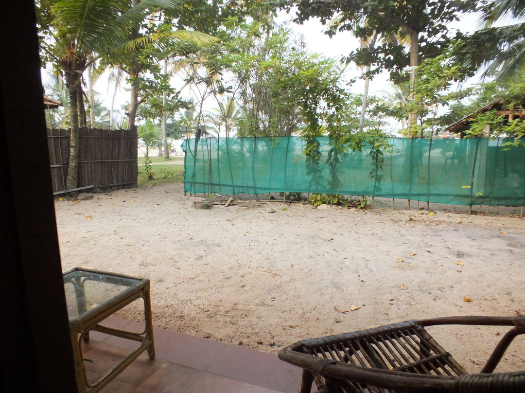 乌龟海滩阿瓦德酒店主图