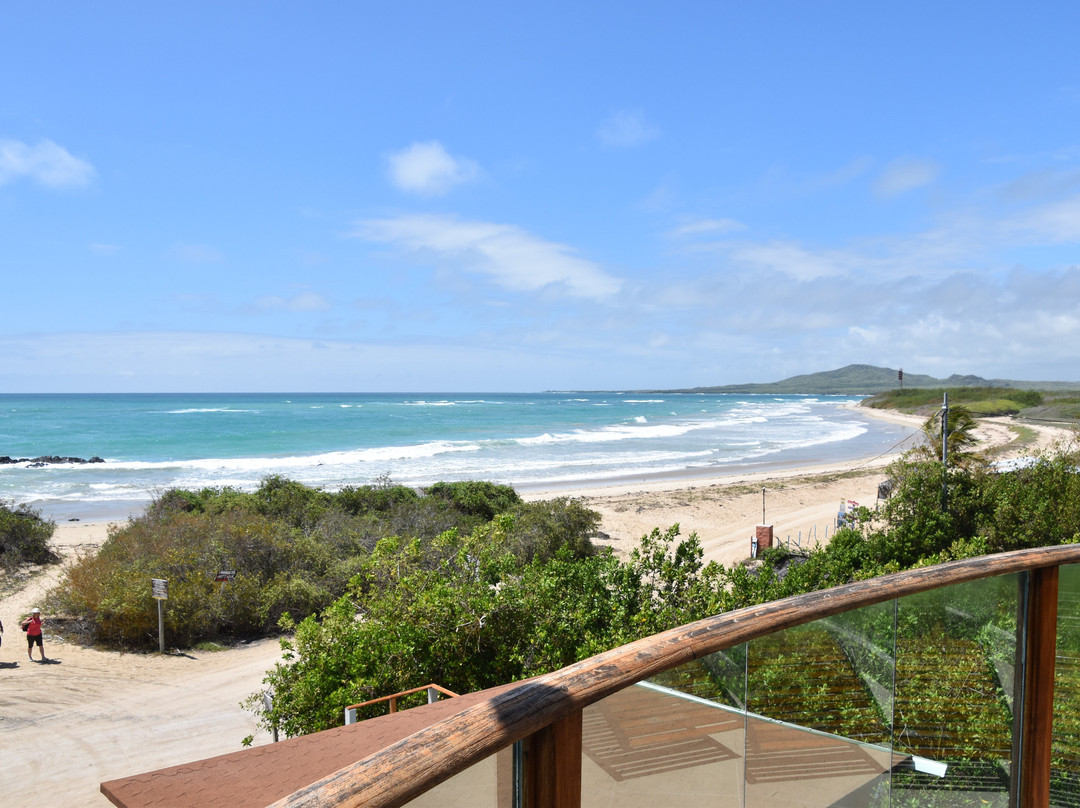 伊瓜纳十字精品酒店主图