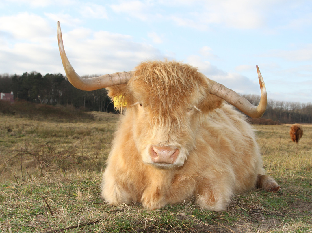 Lentevreugd-Wassenaar必去景点