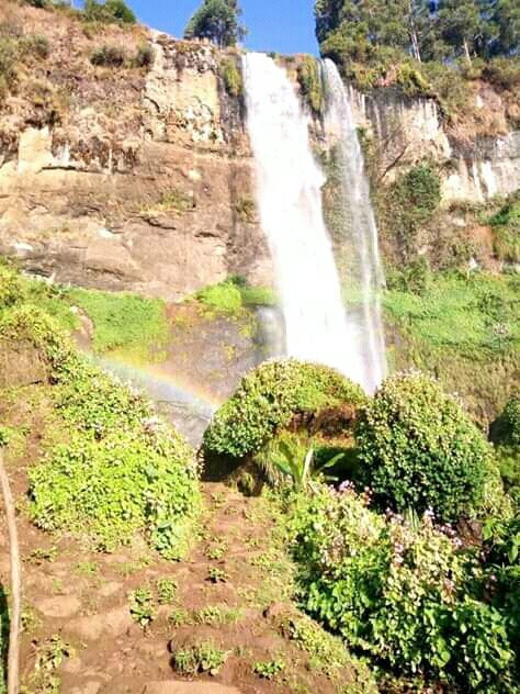 Noah's Ark Hotel and Resort主图