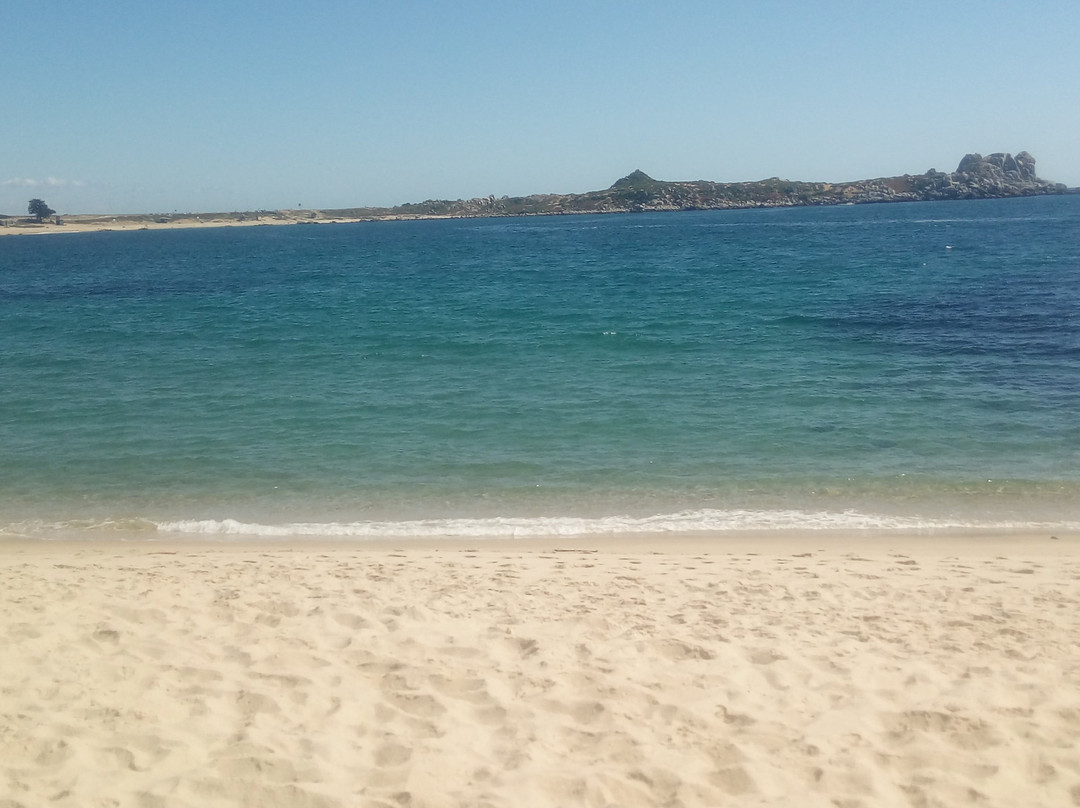 Playa Punta De Tralca景点图片