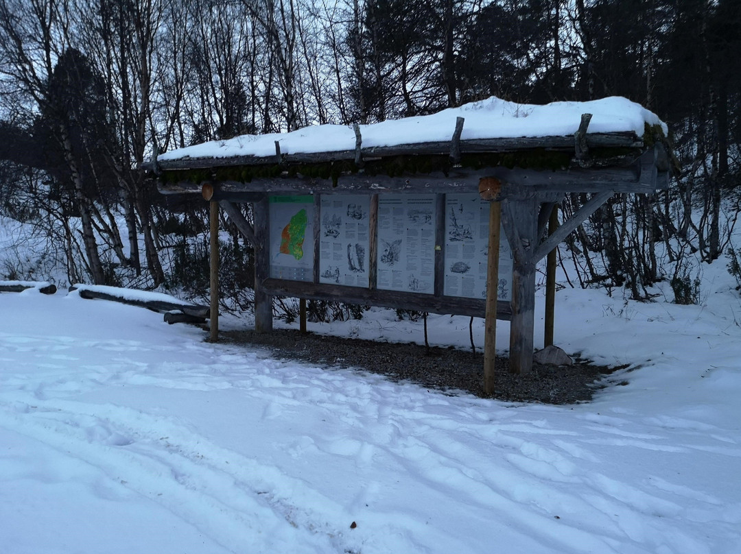 Kevo Strict Nature Reserve-Utsjoki必去景点